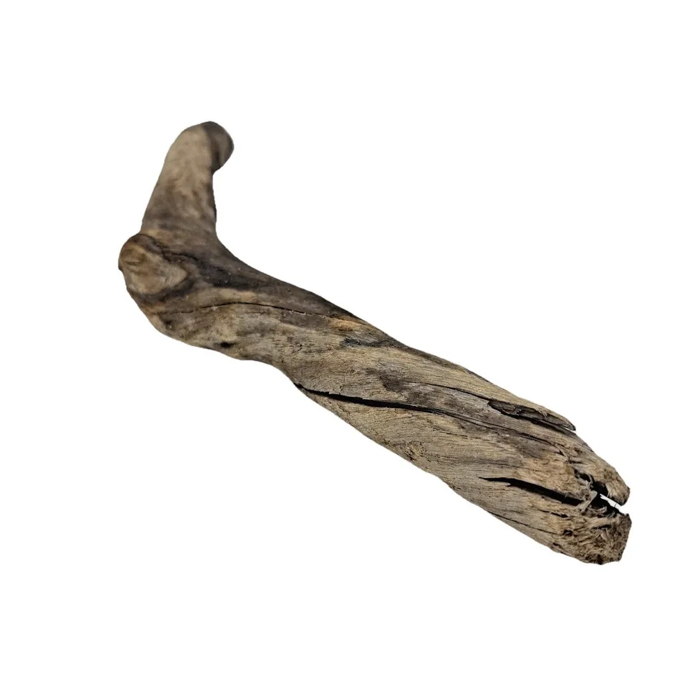 Bent California Driftwood with Burnt Patina & Natural Bend – Sculptural Wood